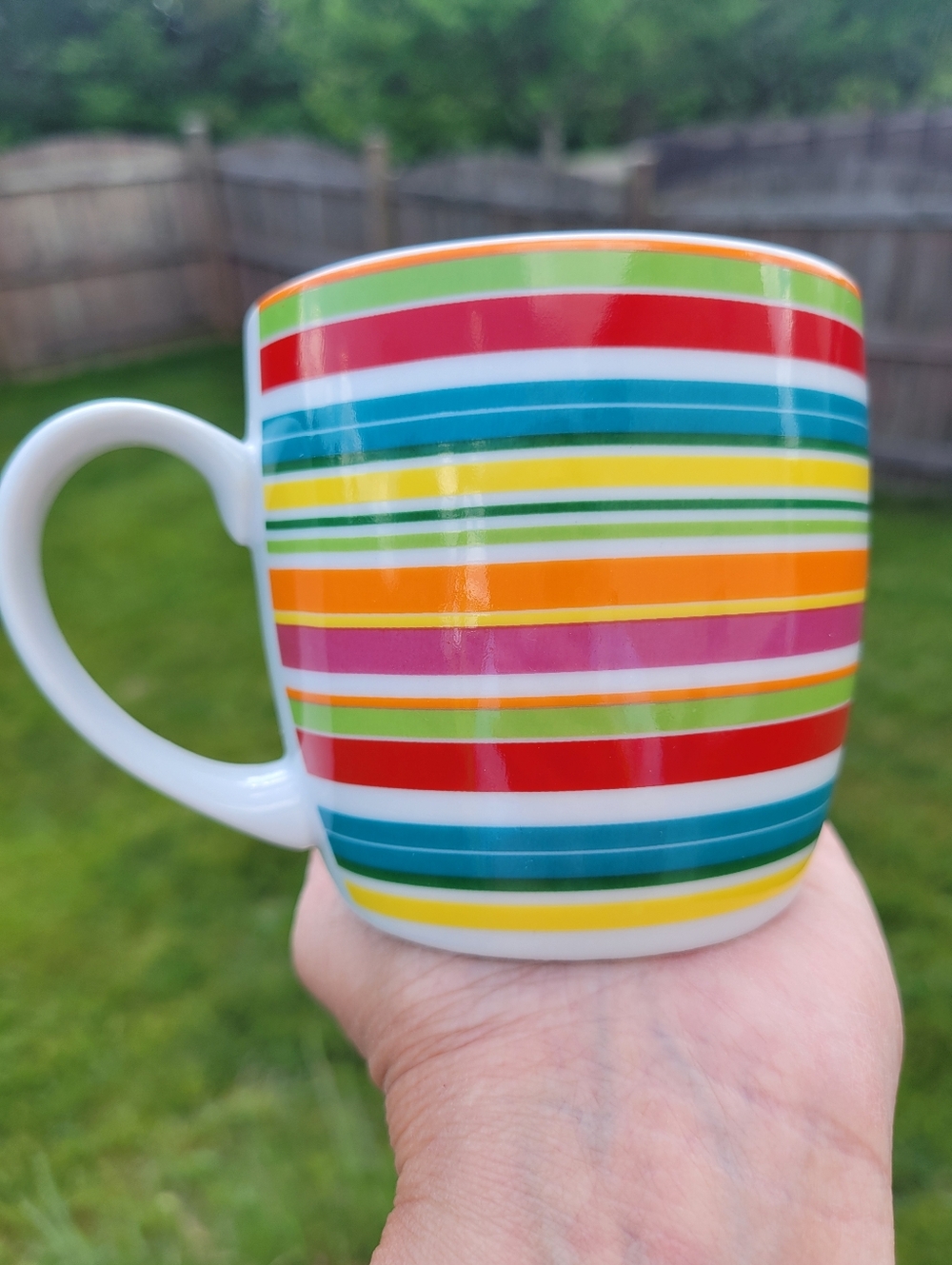Danica Breakfast Set - Multicolor Striped Dining Set Mug Bowl Plate ~ Colorful!
